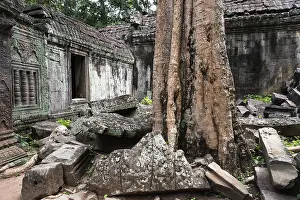 Religion: The Bohdi tree takes possession of the enchanted temple city