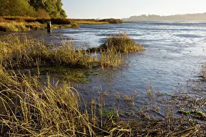 Andreas: Bolinas Lagoon, near San Francisco, fault lake