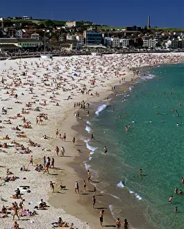 Bondi: Bondi Beach on a fine day