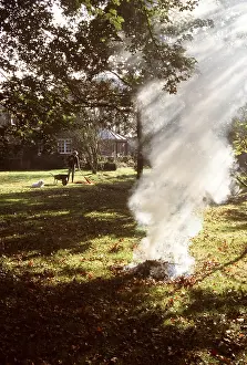 Fires: Bonfire of autumn leaves