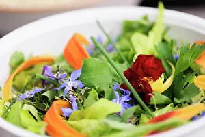 Combinations: Borage, Borago officinales, Nasturtium, Day Lily, Hermerocal