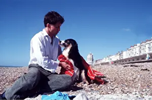 Drying: BORDER COLLIE DOG - being rubbed down after a swim on beach