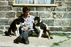 Farmers: Border Collie Sheep Dogs - with young shepherd