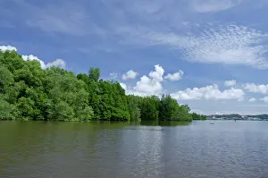 Bandar: Borneo, Brunei. Dense mangrove forest along