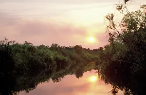 Sekonyer: Borneo - Equatorial forest & Sekonyer River