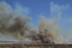 Wildfire: Bosque Wildfire