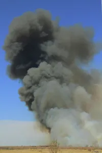 Wildfire: Bosque Wildfire