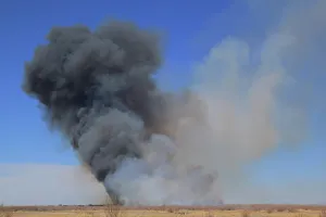 Wildfire: Bosque Wildfire