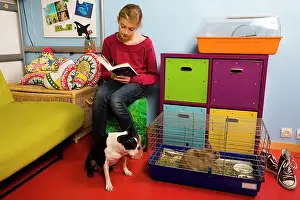 Bedroom: Boston Terrier Dog - Rabbit - & Hamster - in girls bedroom