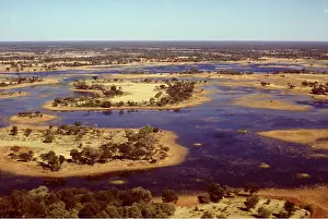 Flood: Botswana, Africa - Okavango Swamps