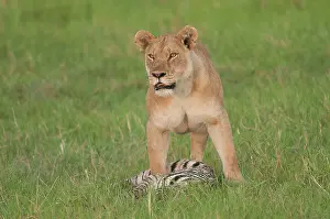 Leaving: Botswana, Africa. Shortly after leaving
