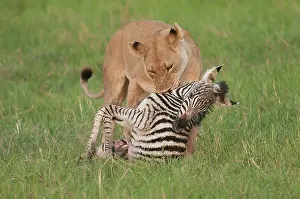 Leaving: Botswana, Africa. Shortly after leaving