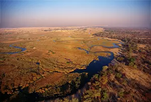 Floodplains: Botswana - Linyanti floodplains