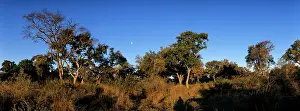 Warmth: Botswana, Moremi Game Reserve, Setting sun