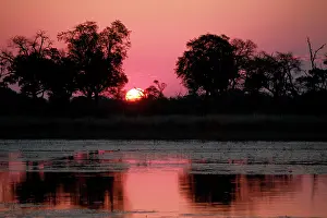 Express: Botswana, Okavango Delta. Sunset view from
