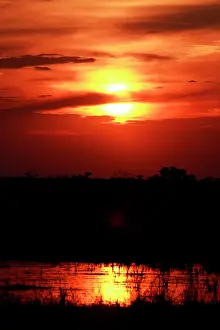 Savute: Botswana, Savute. Sunset at Savute, Chobe