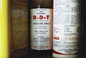 Toxicity: Bottle of DDT Pesticide