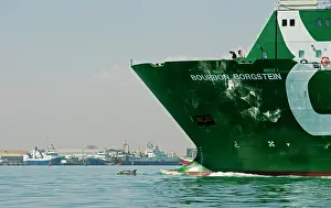 Ships: Bottlenose Dolphin - riding the bow of a ship leaving