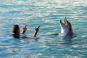 Trainer: Bottlenose Dolphin - with trainer in pool