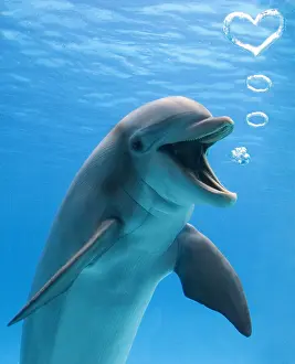 040718: Bottlenose dolphin, underwater, blowing heart shaped