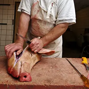 Shops: Boucher preparing a pig's head Vosges France