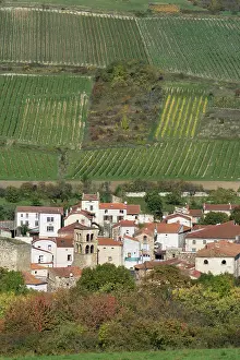 Vinifera: Boudes, wine village, Auvergne, France