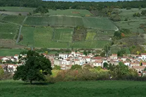 Vinifera: Boudes, wine village, Auvergne, France