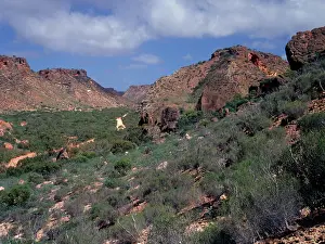 Scree: Boulder-covered scree slope, Shothole Canyon, Cape