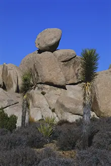 Balanced: Boulders in Joshua Tree NP