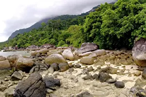 Tioman: Boulders on sand beach and rainforest on slopes