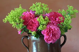 Tables: Bouquet in clay jug on table, Cariona rose (Rosa