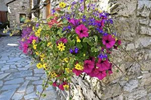 Bouquet: Bouquet of flowers at the corner of a street in