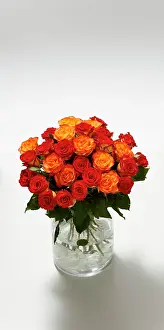 Multi: Bouquet of flowers, roses