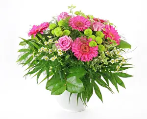 Leucanthemum: Bouquet with Gerberas (Gerbera), Roses (Rosa), and