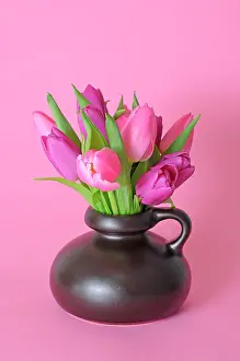 Vase: Bouquet of Tulips (Tulipa) in a vase