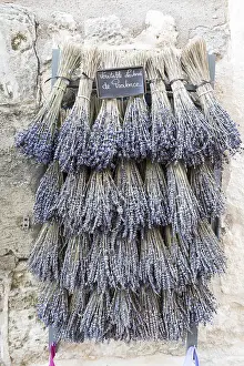 Label: Bouquets of dried lavender in summer, Provence