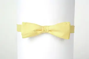 Ties: Bow Tie