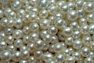 Wealth: Bowl of pearls cultured from silver-lipped