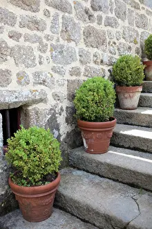Steps: Box
