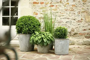 Paving: Box