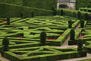 Topiary: Box