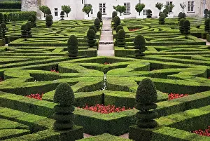 Topiary: Box