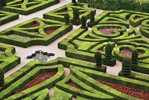 Topiary: Box