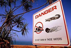 Bathers: Box Jellyfish and Crocodile warning sign for bathers