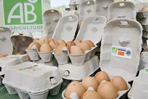 Shops: Boxes of eggs from an organic farming on a stall