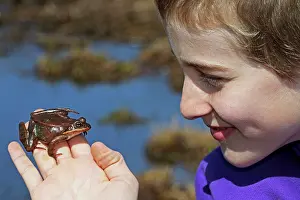 Sylvaticus: Boy - Age 12 - Observing Wood Frog