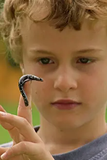 Plethodon: Boy - age 7 - Holding Slimy Salamander