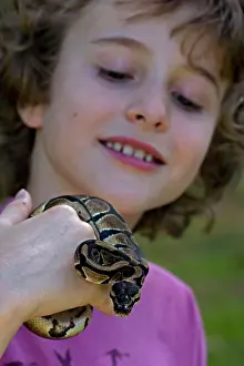 Regius: Boy with captive Ball Python
