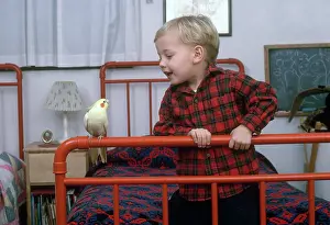 Blond: Boy and Cockatiel