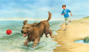 Miles Kelly Publishing: Boy and dog playing on beach with ball